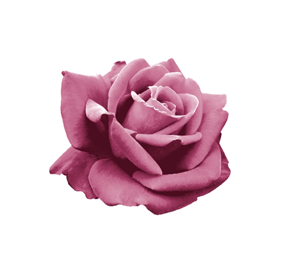 Kissed by a rose cosmetica alemana natural SansSoucis
