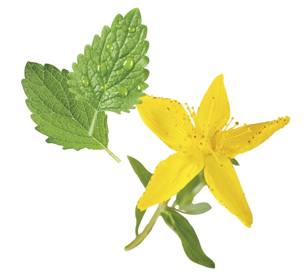 Herbal semsitive cosmética alemana natural SansSoucis
