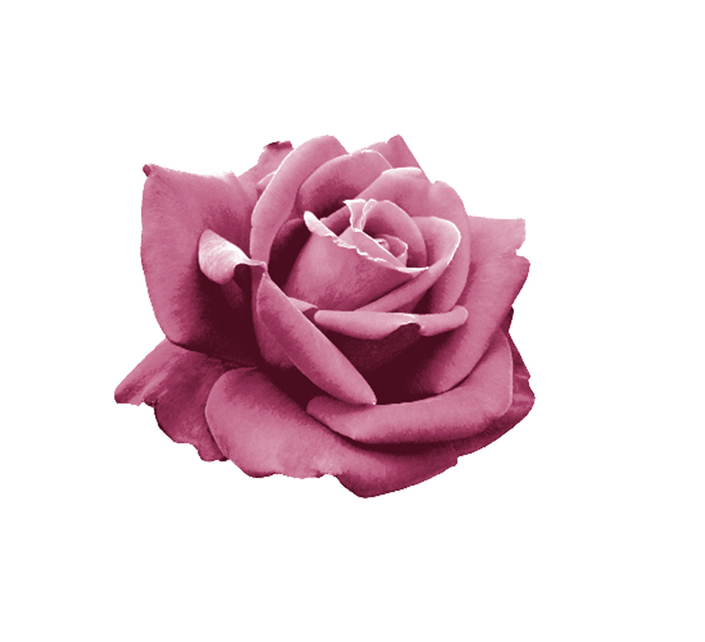 Kissed by a rose cosmética alemana natural SansSoucis
